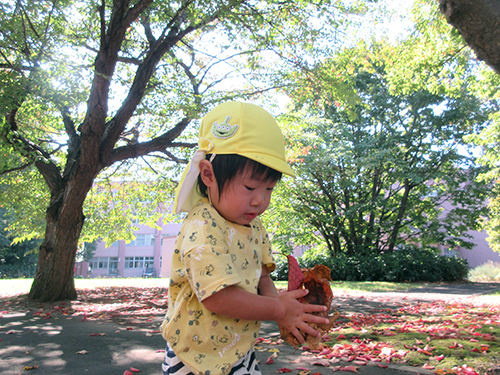 ２歳児② 花川マリア認定こども園